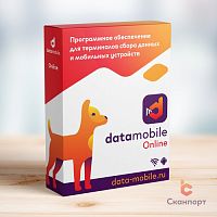 ПО DataMobile версия Online